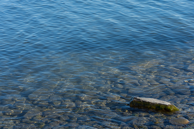 der Bodensee ... 'eine saubere Sache'  (© Buelipix)