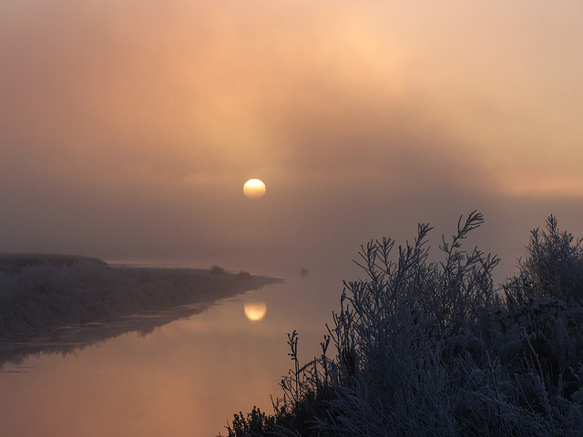 Reflection through the fog