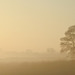 Foggy sunrise in the Vale of Pickering, North Yorkshire