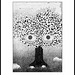 Un arbre vous regarde (2005)