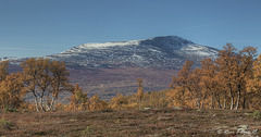 Mt. Svarthøtta