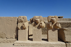 Baboon Sculptures At The Ramasseum