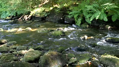 La Rivière Ellé