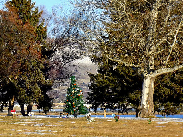 Christmas at the cemetery