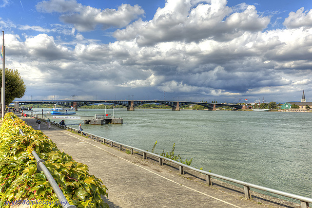 Rhein & Theodor-Heuss-Brücke