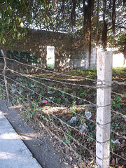 Porte, clôture & tags / Tags, fence & door
