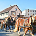 Pferdemarkt in Gaildorf 2017
