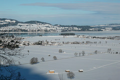 View Over The Forggensee
