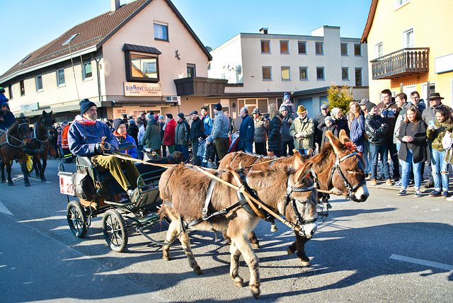 Pferdemarkt in Gaildorf 2017