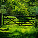 Countryside gates