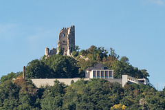 Burg Drachenfels DSC00729