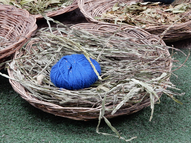 dyed wool and the source of the dye