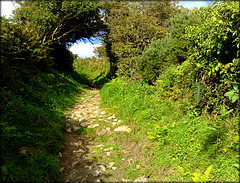 A path on Carn Marth
