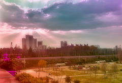 Il Parco S. Donnino in un'alba rosata