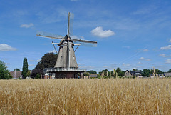 Nederland - Hulshorst, De Maagd