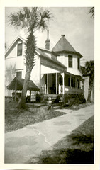 West Coast Palm Tree and House