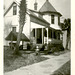 West Coast Palm Tree and House