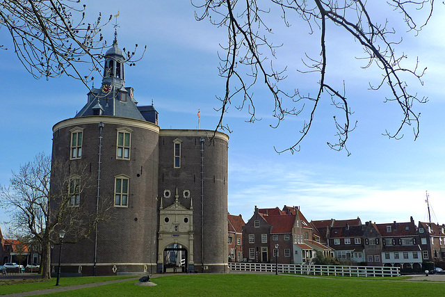 Nederland - Enkhuizen, Dromedaris