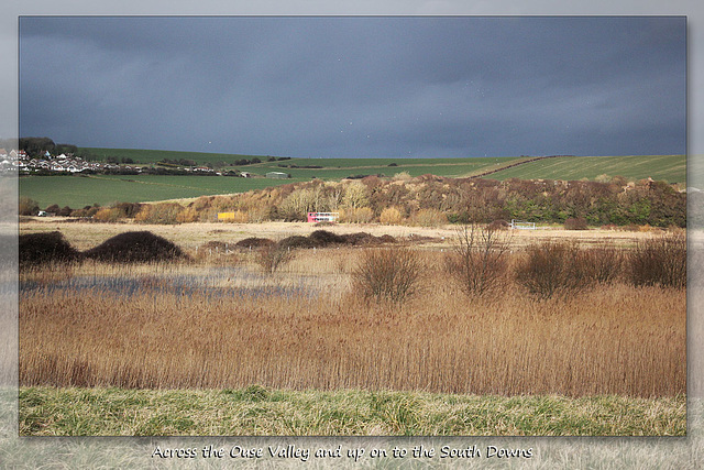 Across the valley & up onto the Downs - Ouse Estuary Nature Reserve - 30.1.2015