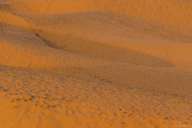 in den "Roten Sanddünen" von Mui Ne (© Buelipix)