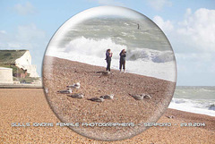 Gulls ignore female photogs - Seaford - 29.8.2014