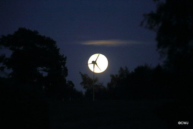 Tonight's harvest moon...
