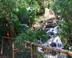 Bamboo fence and cascade