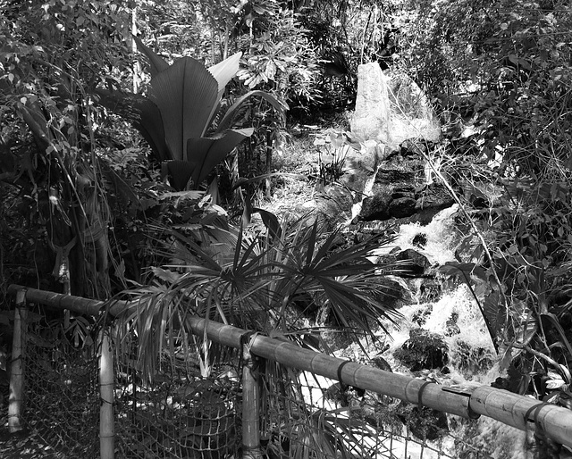 Bamboo fence and cascade in monochrome for Friday