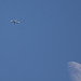 Ryanair Boeing 737-800 and moon