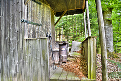 Very old shed in the forest