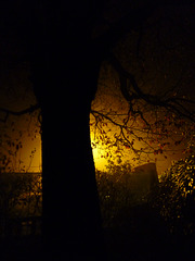 Nuit et brouillard