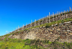Mauern im Weinberg