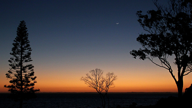 indigo dawn and the moon