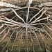 Roundhouse Structure