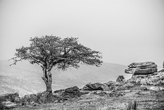 Dartmoor - 20160318