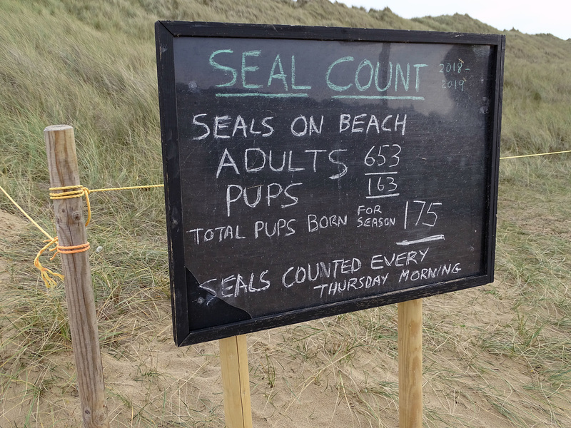Seal count Horsey