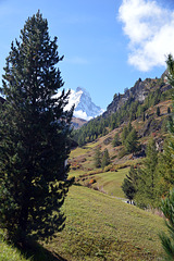 Matterhorn ( VI )