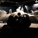 Fleet Air Arm Museum X Pro2 12 Sea Vixen