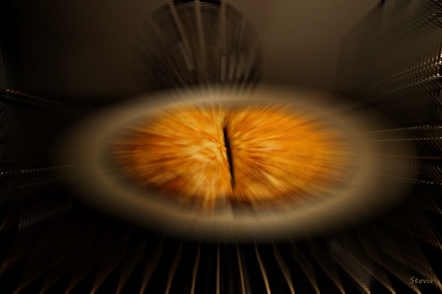 Eruption in the oven ;-)