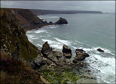 Between Porthcadjack and Basset Cove, North Cliffs Cornwall