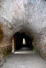Tunnel Walls - Valle Crucis Abbey