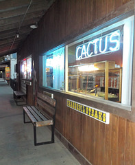 Bancs piquants / Cactus bench