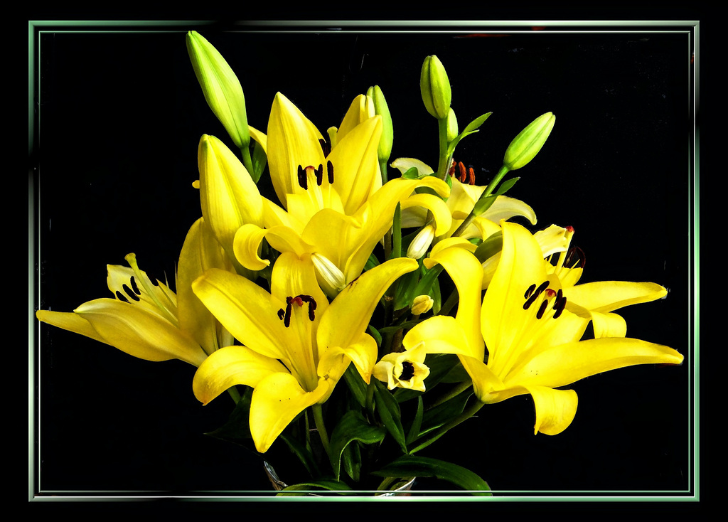 A bouquet of lilies... ©UdoSm