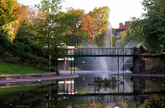 Grand bassin du Jardin Lecoq (63) en Octobre
