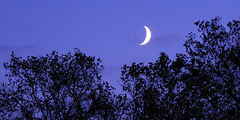 New Moon for a new Europe