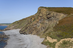 Millook Haven cliff