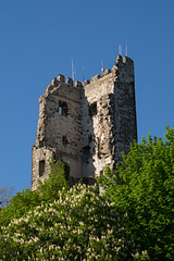 Burg Drachenfels DSC00353