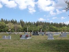 Cimetière floridien / Florida cemetery