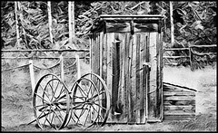 Cottonwood outhouse.