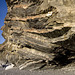 Millook Haven cliff detail 5